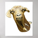 Recherche de chèvre drôle posters Nature