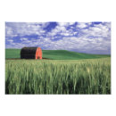 Recherche de orge posters Été