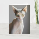 Recherche de chat sphinx vœux cartes Chat sans cheveux