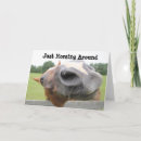 Zoek naar verkoudheid kaarten Foel