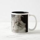 Recherche de tête de chat tasses Félin