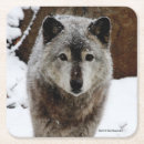 Zoek naar wolf onderzetters Dieren