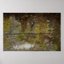 Recherche de vert vivant posters Abstrait