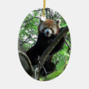 Recherche de menacé ornements Nature