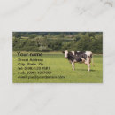 Recherche de vache cartes visite Agriculteur