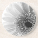 Recherche de marguerite gerbera dessous de verres Fleur