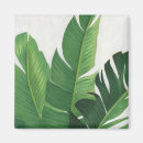 Recherche de feuille vert magnets Plante