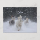 Recherche de tonnerre cartes postales Nature