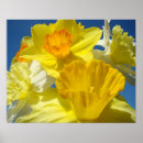 Zoek naar prenten posters For her