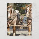 Recherche de cheval rouge cartes postales Équin