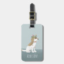Recherche de chiot Bleu
