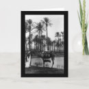 Recherche de oasis vœux cartes Photographie