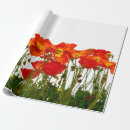 Recherche de beautiful papier cadeau Decor