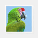 Recherche de perroquet serviettes Animal