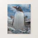 Recherche de penguin puzzles Antarctique