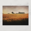 Zoek naar boerderijen briefkaarten Zonsopgang