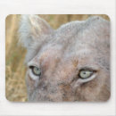 Recherche de lions tapis souris Toute personne