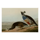 Recherche de perdrix art Oiseau