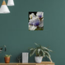 Zoek naar witte iris posters Botanisch