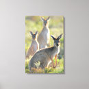 Recherche de de koala art Forêt