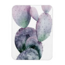 Recherche de plantes magnets Côtier
