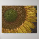 Zoek naar gekleurd potlood posters Natuur