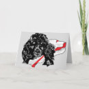 Recherche de caniche blanc vœux cartes Salutation