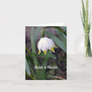 Recherche de ressort correspondances cartes Botanique