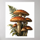 Recherche de forêt rouge posters Mignon