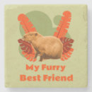 Recherche de capybara bar Amoureux des animaux