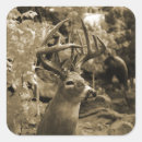 Recherche de deer autocollants Chasseur
