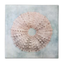 Recherche de oursin carreaux Tropical