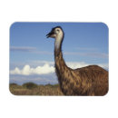 Recherche de oiseaux exotiques magnets Faune