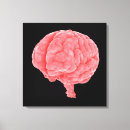 Recherche de sensoriel art Neurosciences