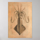 Zoek naar marien dier posters Koppotigen