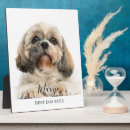 Recherche de shih plaques Amoureux des chiens