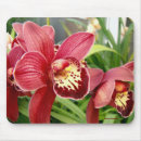 Recherche de orchidées jaunes tapis souris Tropical
