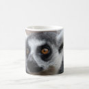 Zoek naar lemur mokken Madagaskar