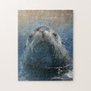Recherche de otarie puzzles Phoque