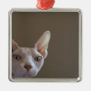 Recherche de sphinx ornements Sphynx