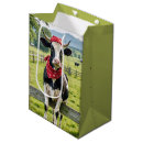 Recherche de le holstein Pâturage