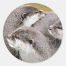 Recherche de loutre autocollants Mustélide