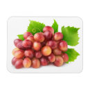 Recherche de raisins magnets Rose