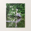 Recherche de marécage puzzles Sauvage