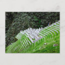 Recherche de machu pichu cartes postales Photographie