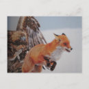 Recherche de postkarte posters Nature