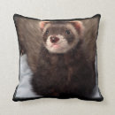 Recherche de de furet coussins Pour tous