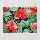 Zoek naar anthuriums briefkaarten Tropisch