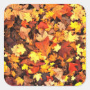 Recherche de belles couleurs autocollants Nature