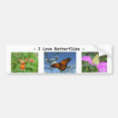 Zoek naar monarch vlinder bumperstickers Bloemen